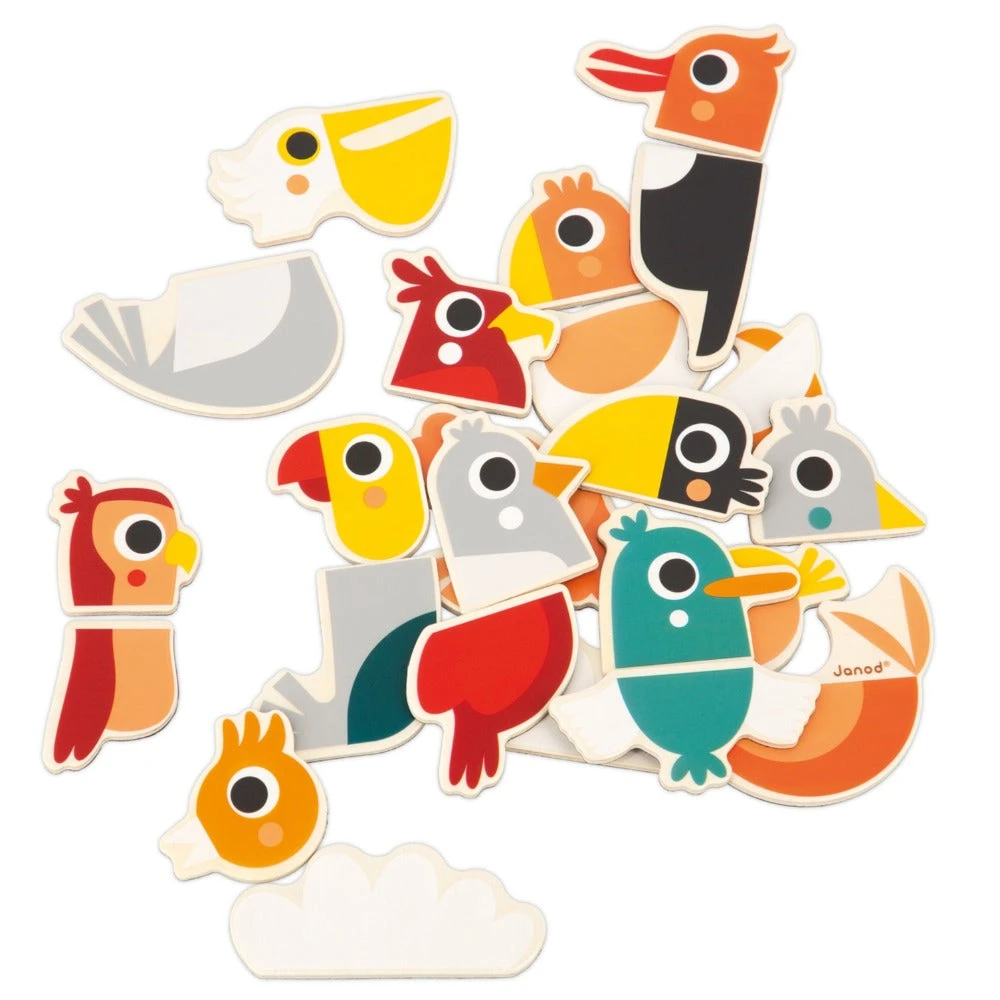 JANOD Magneten Mix Mach Vogels 2 Jr+ / 24 Stks 3 JANOD Magneten Mix Mach Vogels 2 Jr+ / 24 Stks