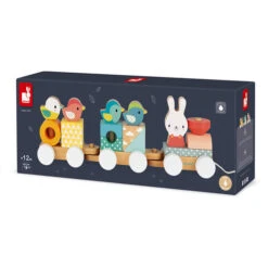 JANOD Trein Pure 1 Jr+ -Janod JANODtreinpure1jr 115157 9