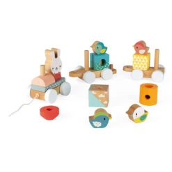 JANOD Trein Pure 1 Jr+ -Janod janod trein pure 115157 f